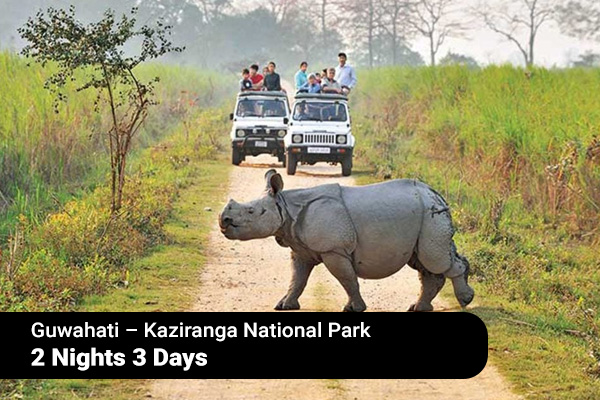 Kaziranga national park safari tour